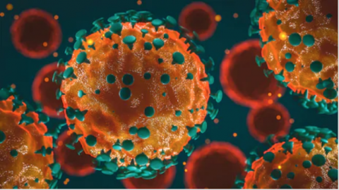 Coronavirus pic 2